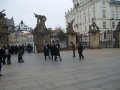 IMGP3222.JPG